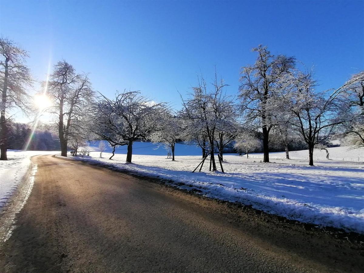 Apartmán Staudachhof Althofen  Exteriér fotografie