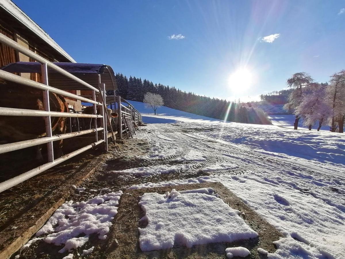 Apartmán Staudachhof Althofen  Exteriér fotografie